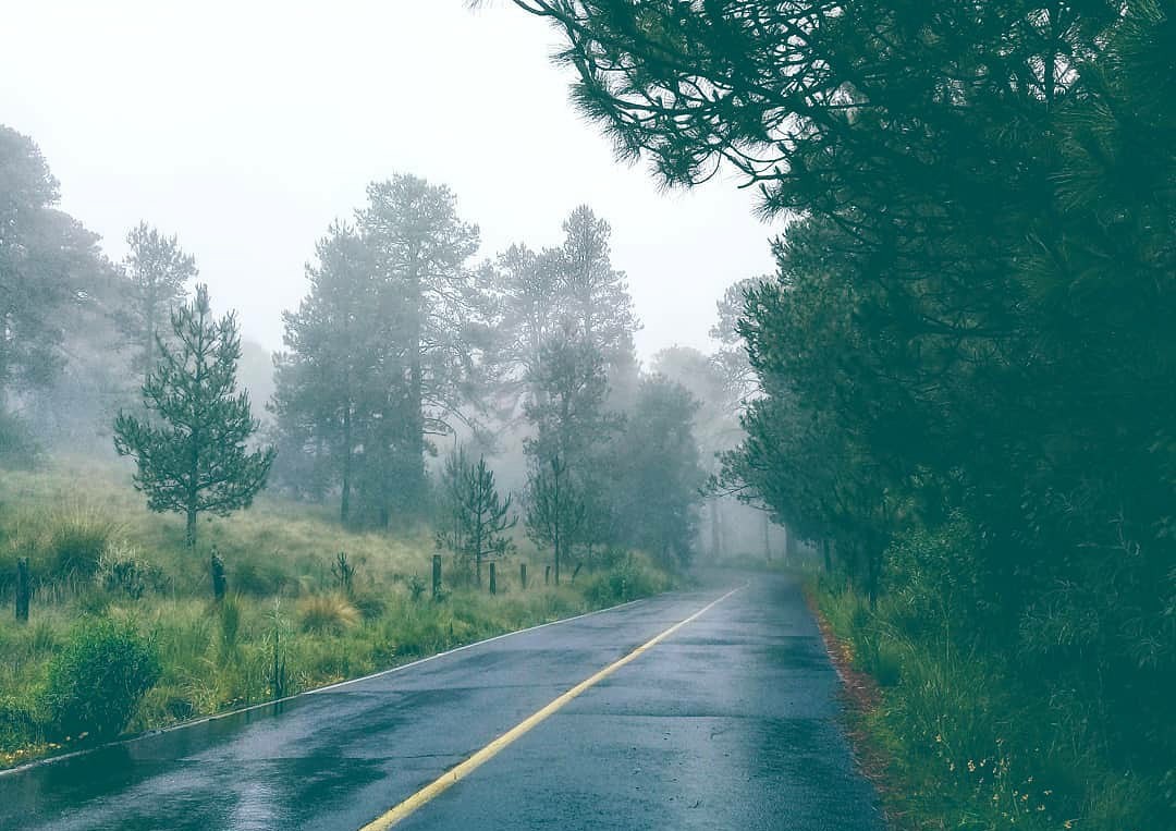 Bonitos caminos que nos llevan a Paso de Cortés 💙🗻
.
.
.
.
#Amecameca #paisajes #ZonaVolcanes #Ameca #estepicursor #RegiondeLosVolcanes #paisajesnaturales #fotografia #fotostumblr #followforfollowback